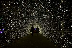 To miejsce uwielbiają nie tylko dzieci, ogród świateł znów zachwyca