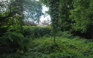 Park Jalu Kurka: przyroda „wzięła sprawy w swoje ręce”