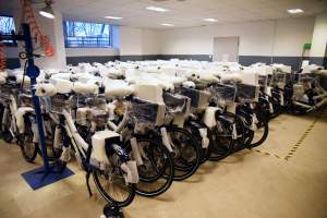 Rower miejski powróci?