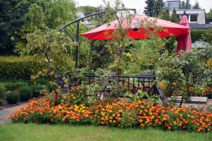Wyjątkowy ogród: rośliny biblijne i... in vitro