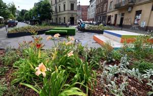 Najbardziej zielone skrzyżowanie na Kazimierzu, to dopiero początek