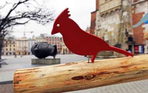 Drzewko emausowe na Rynku