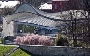 Wiosna w Krakowie poczyna sobie coraz śmielej