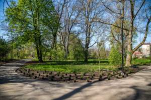 Pięknieje park Jalu Kurka, przybyło trochę nowych roślin