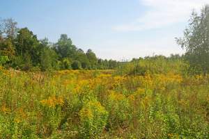Obiektyw Lasyka: Dzika przyroda Białych Mórz