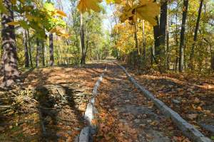 Jeden z najpiękniejszych parków w Krakowie. Kiedy zostanie otwarty?