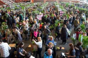 Festiwal roślin w Krakowie, zielone szaleństwo opanowało miasto