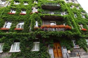 Tu w Krakowie zieleń staje się cześcią architektury, wygląda pięknie!