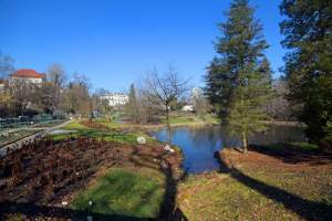 W Krakowie tutaj wiosnę znajdziecie najwcześniej, warto wpaść na chwilę