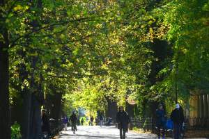 W tym roku liście trzymają się mocniej, dłuższa złota polska jesień