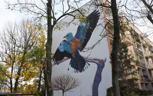 Dosłownie odlotowe murale, mieszkańcy zachwyceni