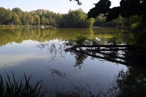Jedno z najpiękniejszych przyrodniczo miejsc w Krakowie, tu powstaje park