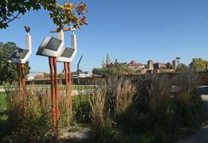 Piękna jesień w Krakowie nabiera kolorów