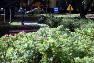 Po co znaki drogowe w parku? Świetny pomysł mieszkańców