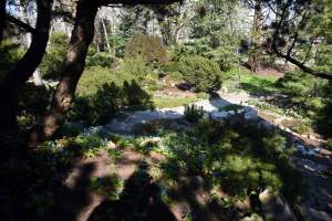 Wiosną wygląda i pachnie najpiękniej! fot. Marek Lasyk