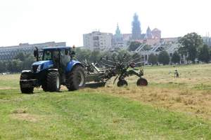 Sianokosy na największej miejskiej łące w Europie, tylko dwa razy w roku