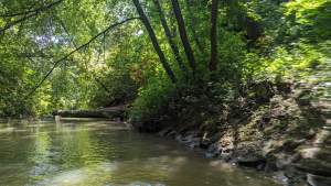 Cudowna dzika rzeka w mieście, tu odpoczniecie z dala od tłumów