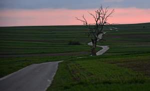 Chodźże, wyjdź na pole. Magiczne miejsce niedaleko Krakowa