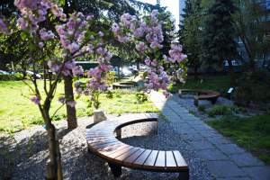 Piękny zaułek przy Prądnickiej: budżet obywatelski ma sens