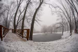 Park Duchacki: miejsce z wyjątkowym klimatem