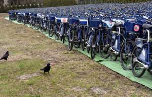 Smutny koniec miejskiego roweru? Setki w jednym miejscu...