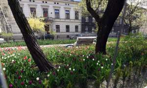 Tak zmienia się Plac Biskupi...