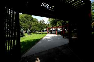 Cudowny ogród w centrum Krakowa, tu kobiety są najważniejsze