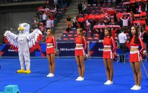 Orzeł czy kura? Maskotka polskich siatkarzy budzi emocje...