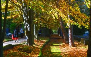 Najstarsza, wciąż czynna krakowska nekropolia. Wyjątkowy cmentarz