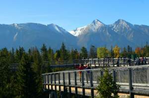 Jesień w górach w koronach drzew. Tuż za granicą