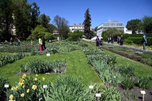 Najlepsze miejsce na spacer w Krakowie, zwłaszcza o tej porze roku