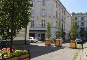 Drzewka usychają, bo turyści podlewają je drinkami?