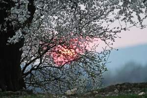 Gdzie się wybrać na spacer w Krakowie? Oto nasze ulubione miejsce