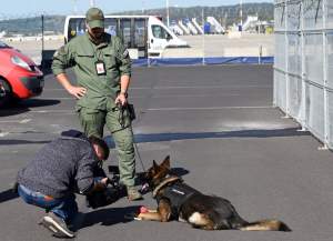 Wyjątkowi pracownicy Kraków Airport, do zadań specjalnych...