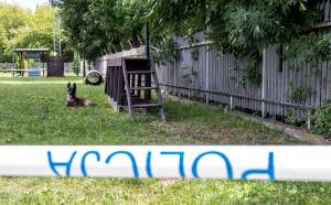 Sieją postrach wśród bandytów! Nie zastąpi ich żadna maszyna