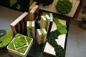 Zrób sobie mech. W Krakowie bardzo się przyda