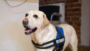 To jeden z najlepszych lekarzy w tym szpitalu...