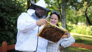 Nowy trend w mieście: szanujący się obywatel ma swój ul