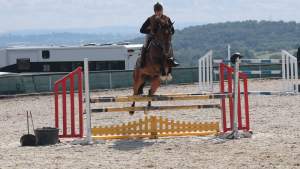 Koński raj z widokiem na Kraków