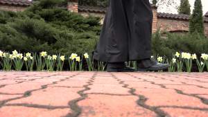 W kolejkach stanie kilkaset tysięcy osób. On ich wysłucha