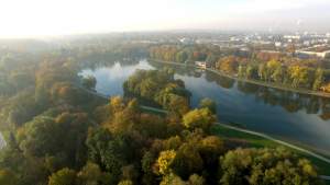 Dzika wyspa w środku miasta, tu królują kaczki