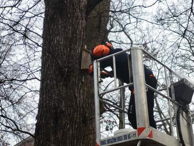 Przygotowania do wiosny w Krakowie ruszyły pełną parą