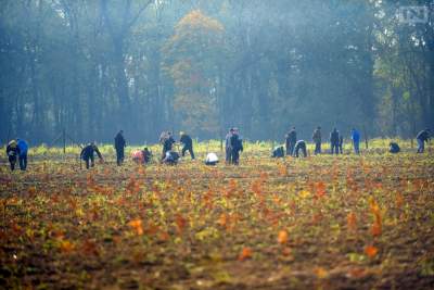 Oto najlepszy sposób na powitanie wiosny. Każdy może dołączyć!