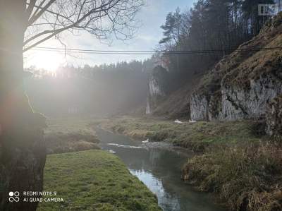 Tak w ten weekend pojadą autobusy do Ojcowa i ZOO