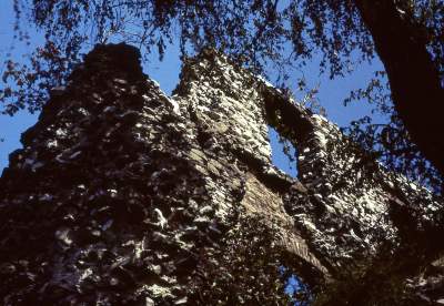 Nowa linia autobusowa: w weekendy dojedziemy w to cudowne miejsce