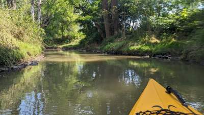 Piękna, dzika rzeka w Krakowie. Spływ jest wymagający, ale wrażenia wspaniałe