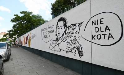 Twórczość noblistki na płocie, wyjątkowa interpretacja wierszy Szymborskiej