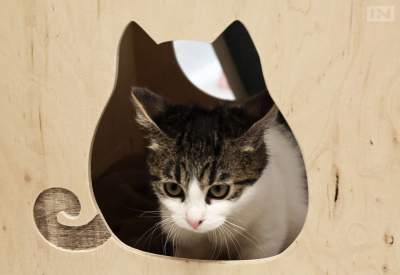 Azyl prosi o pomoc, przed nim najtrudniejsze miesiące