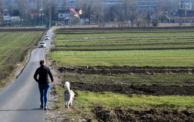 Kraków będzie miał „Park Wiernych Przyjaciół”, z grzebowiskiem dla zwierząt