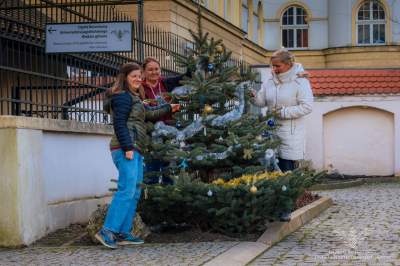 Prezent leśników dla Ogrodu Botanicznego. Botanicy podziękowali